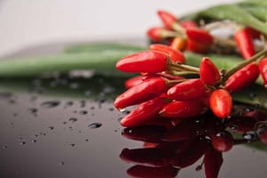 During the early 1500s, explorers brought hot and spicy peppers from Central Mexico to Spain