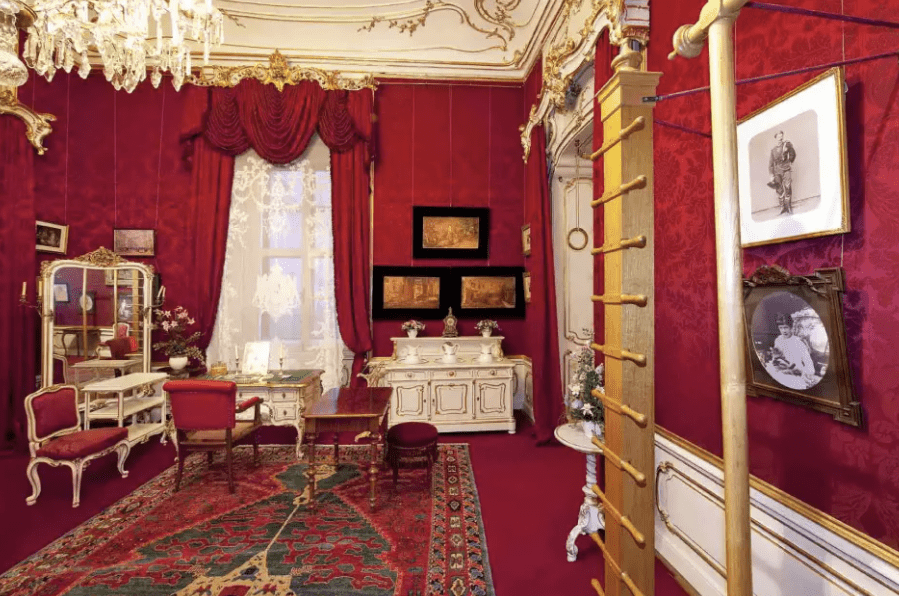 All of Sisi's residences had exercise equipment installed.